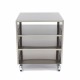 Onderstel RVS - 60 x 60 cm - 120 Kg Draagvermogen - Zwenkwielen