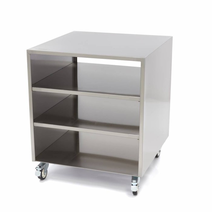 Onderstel RVS - 60 x 60 cm - 120 Kg Draagvermogen - Zwenkwielen