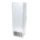 Vrieskast - 400 L - 6 Vaste Roosters - Rvs