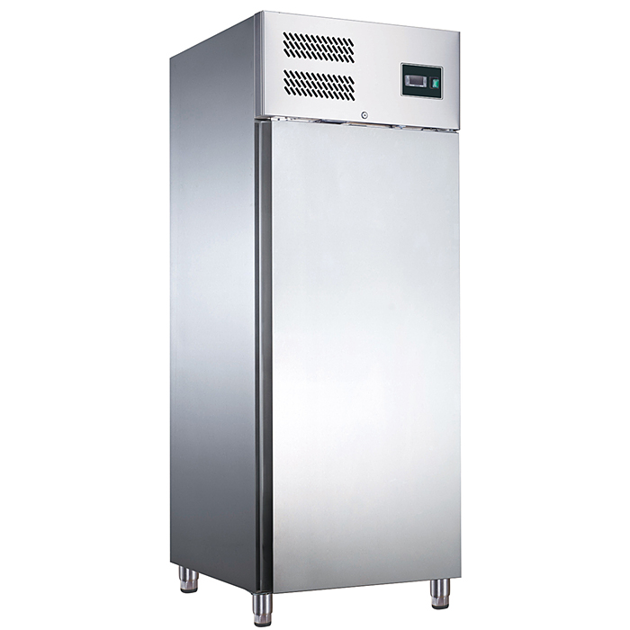 SARO Professionele koelkast - EGN 650 TN
